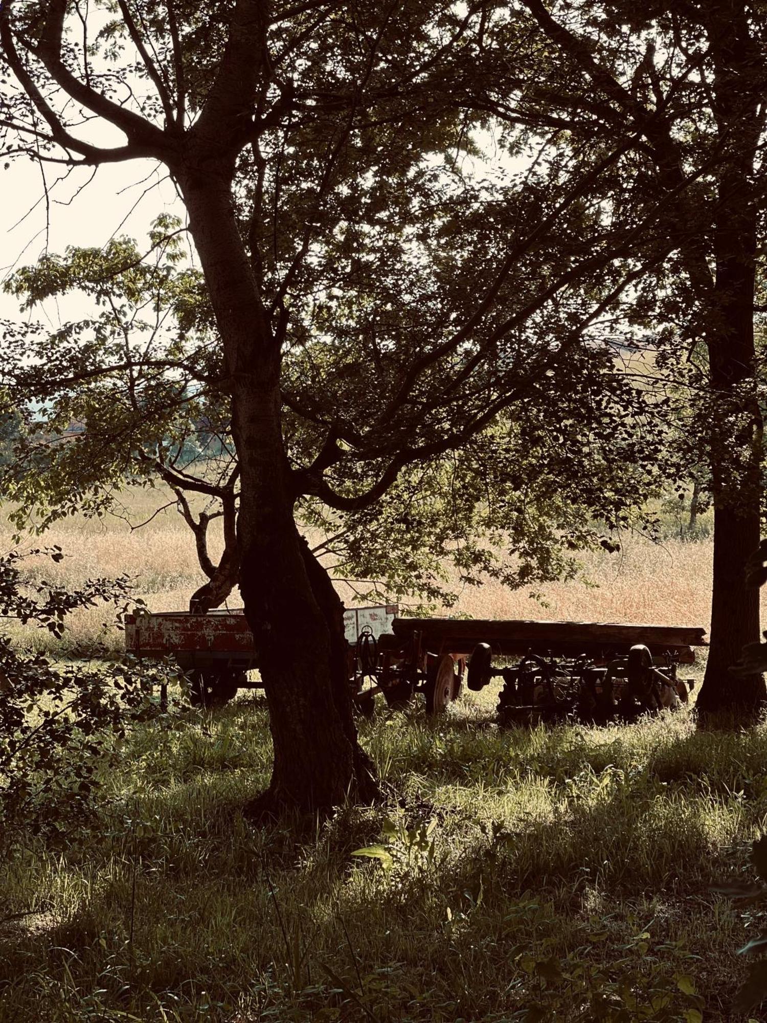 Il Felcino Villa Fabro Kültér fotó